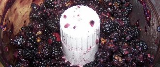 Измельчение плодов ежевики для приготовления вина