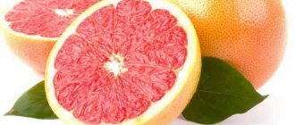 Настойка на грейпфруте водки (спирта, самогона) – 3 рецепта